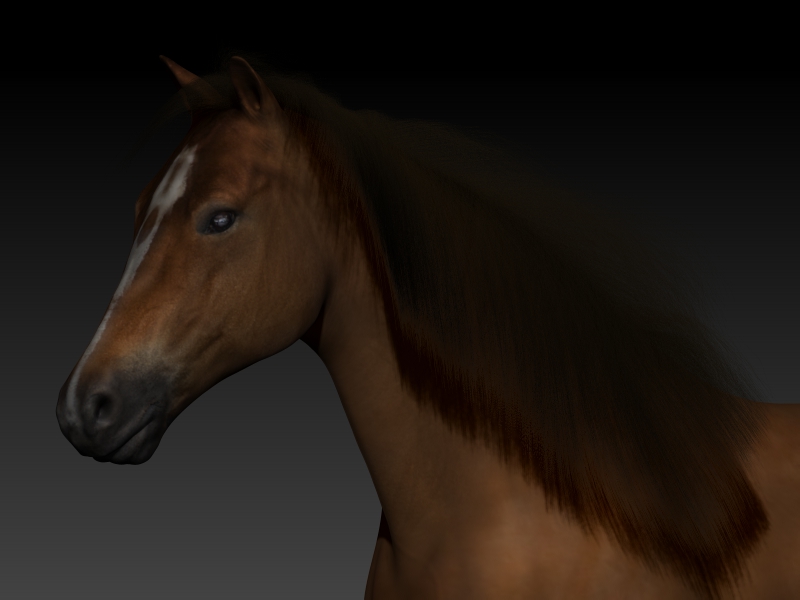 Full%20Horse%20%20(7)