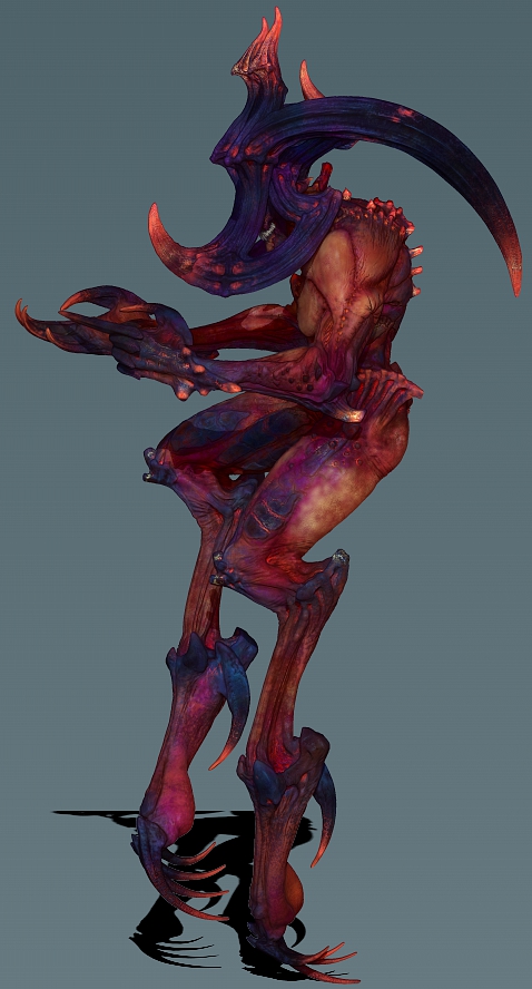 side color.jpg
