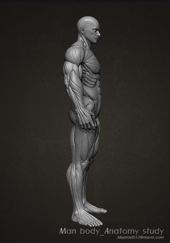 body_02.jpg