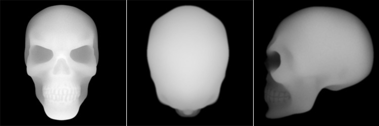 skull_alphas01.jpg