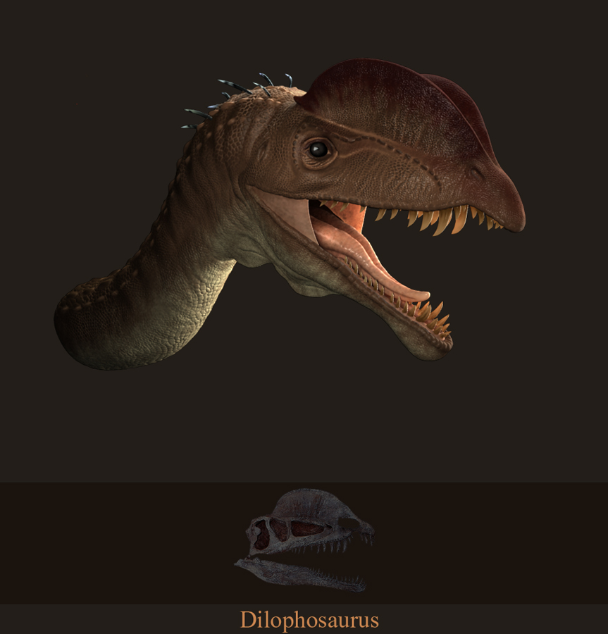 dino004.jpg