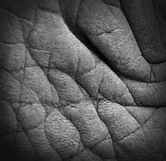 EyeofRhino.jpg
