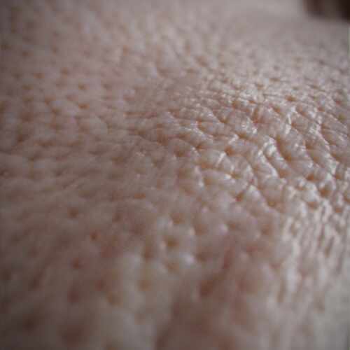 closeup_01