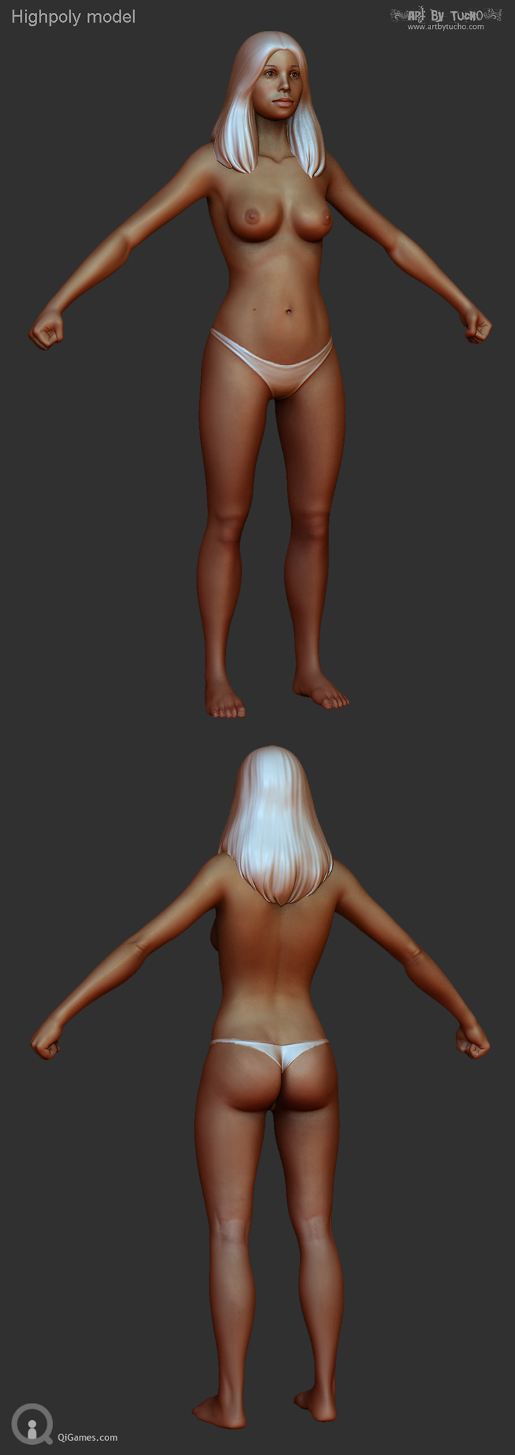 fem_highpoly_model.jpg