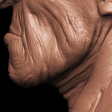 bain_closeup01.jpg