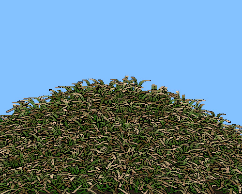 grass002b.jpg