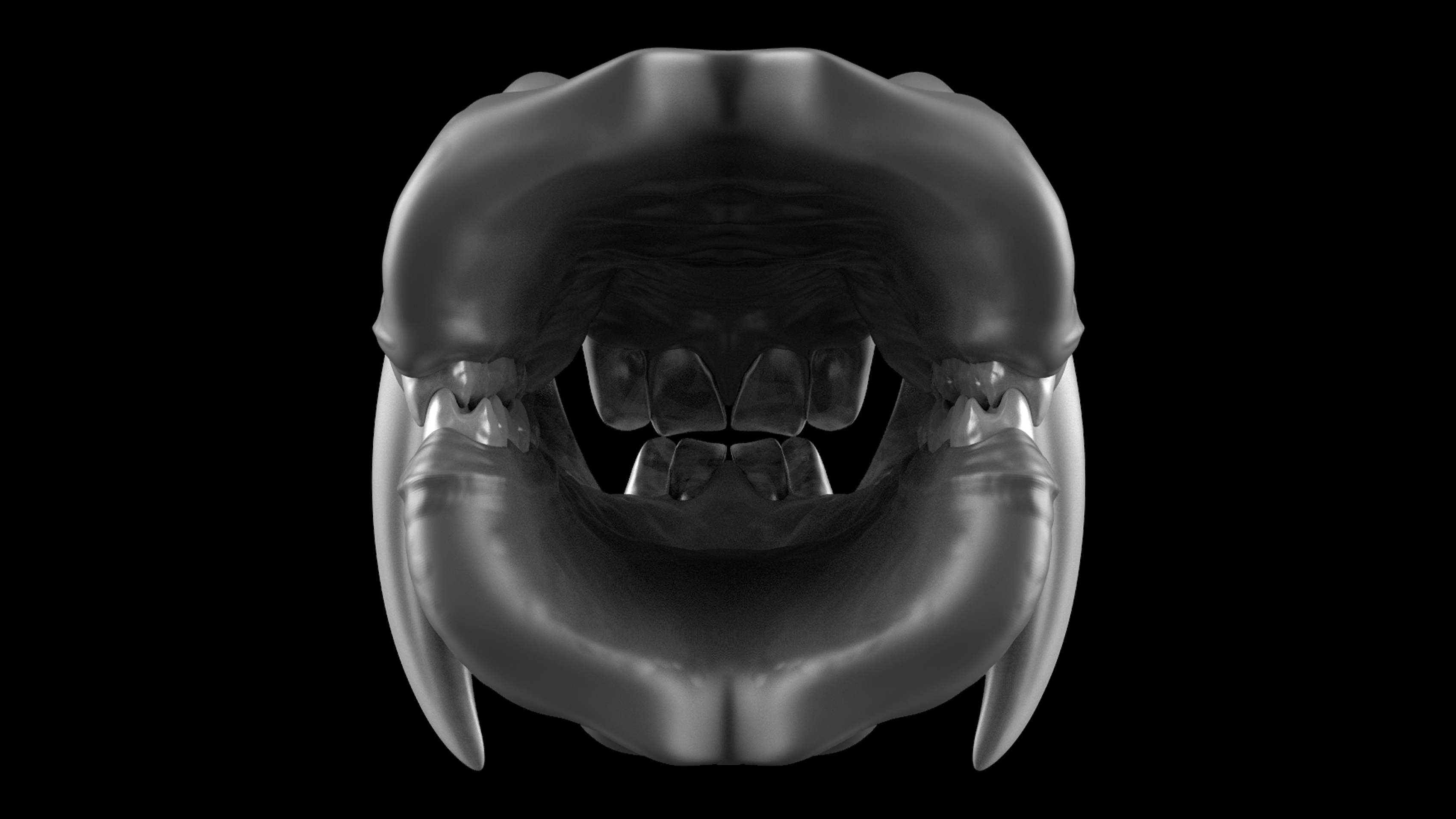 Teeth_Kits_Master_Views_Mandrill_02.jpg