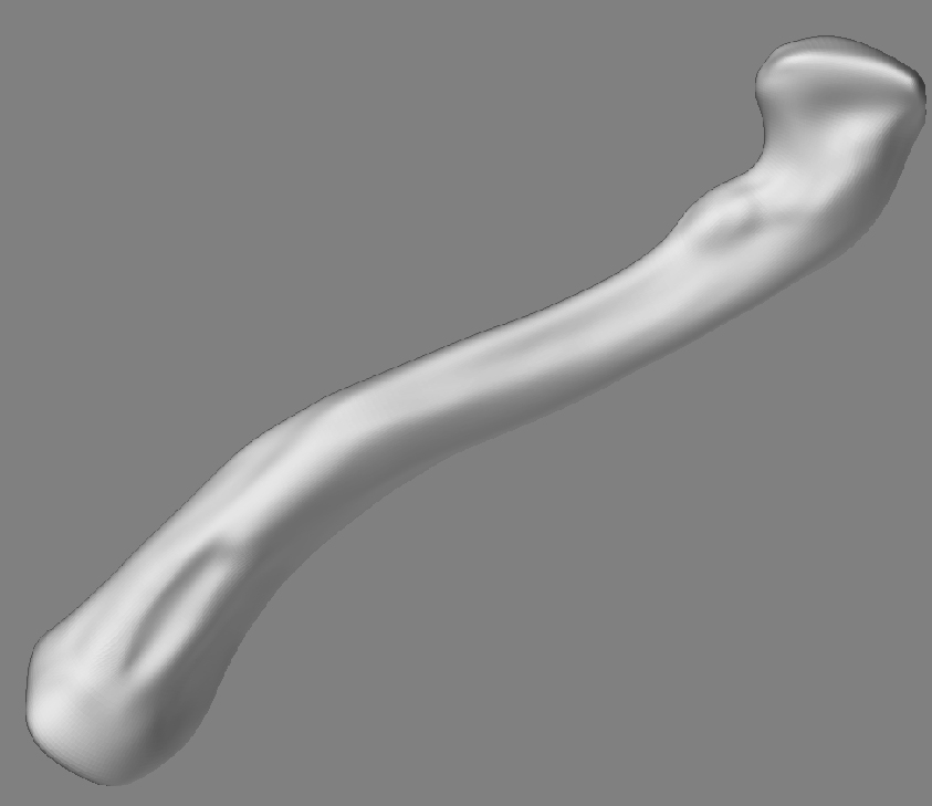Clavicle_Bottom_01.jpg