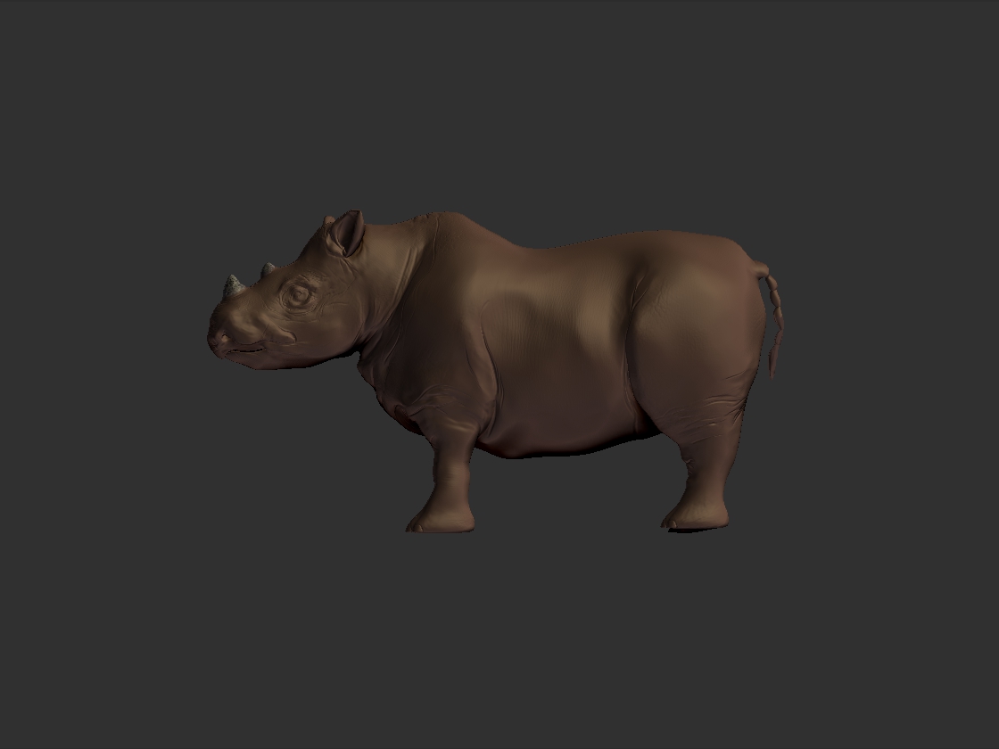 Rhino_sculptrework.jpg