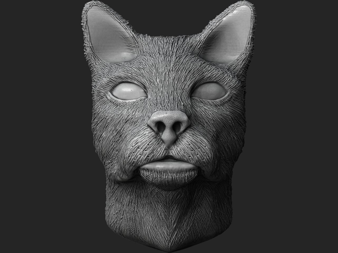 cat cavity fur 3.JPG