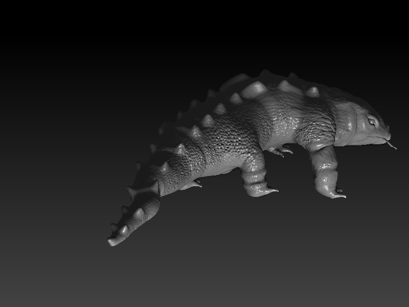 komodo details2.jpg