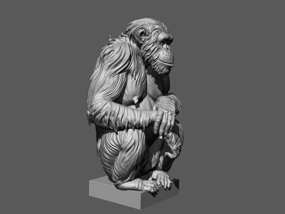 chimp_zb4.jpg