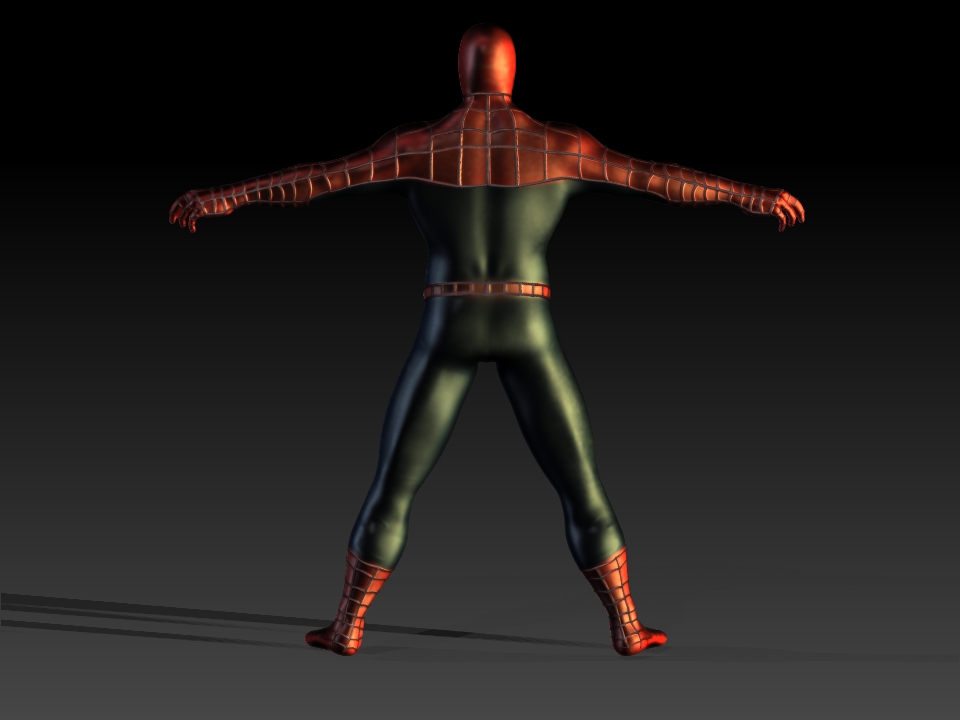 spidermanBackPersp.jpg