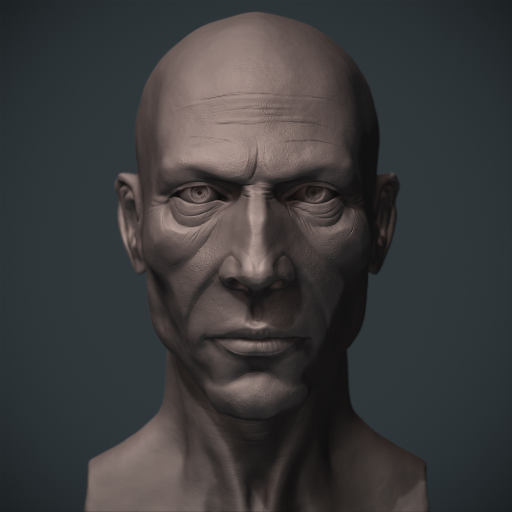 Head.jpg