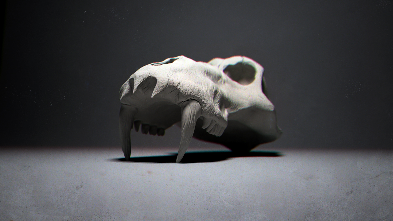 Baboon_Skull.jpg