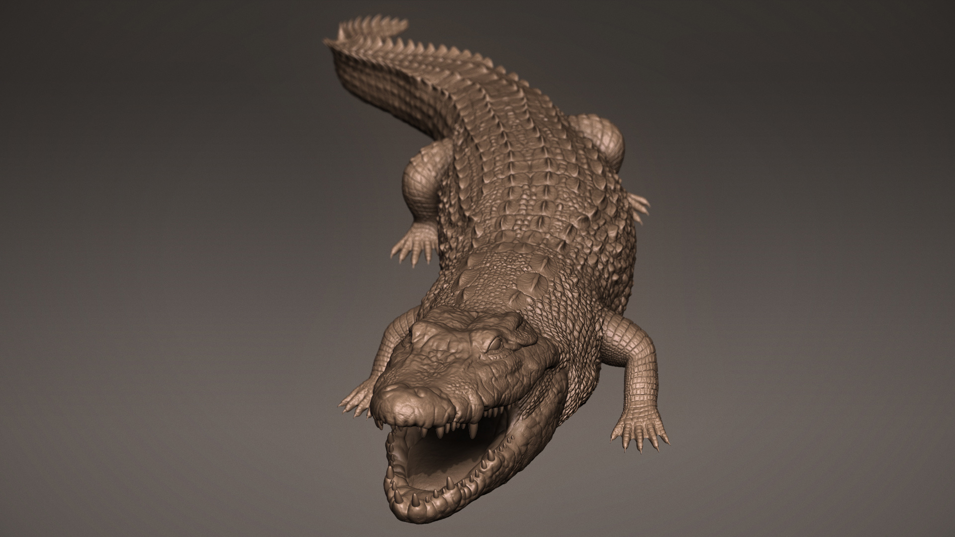 ivan-kocic-crocodilepresentation-front-1.jpg