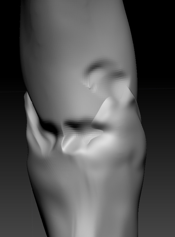 51465465123.png