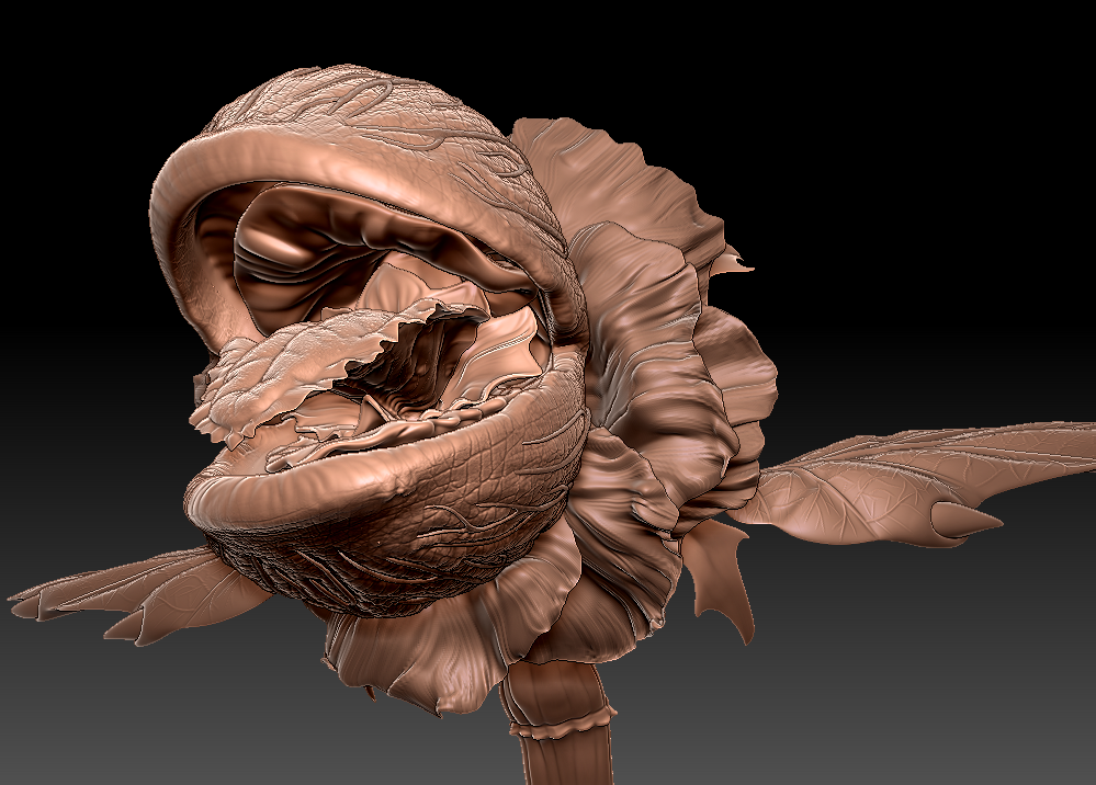 ZBrush%20Document