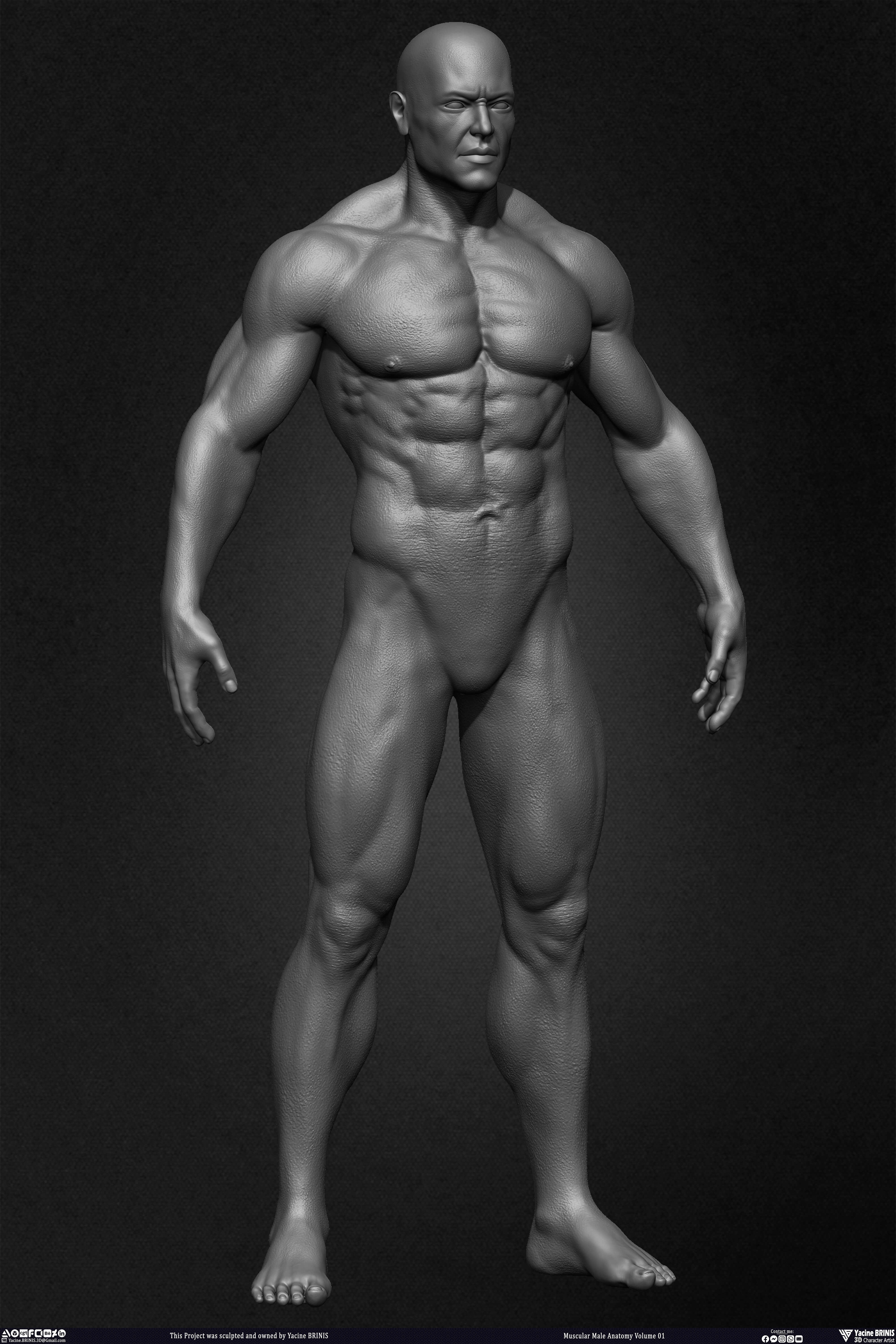Muscular Male Anatomy 3D Character sculpted by Yacine BRINIS 007