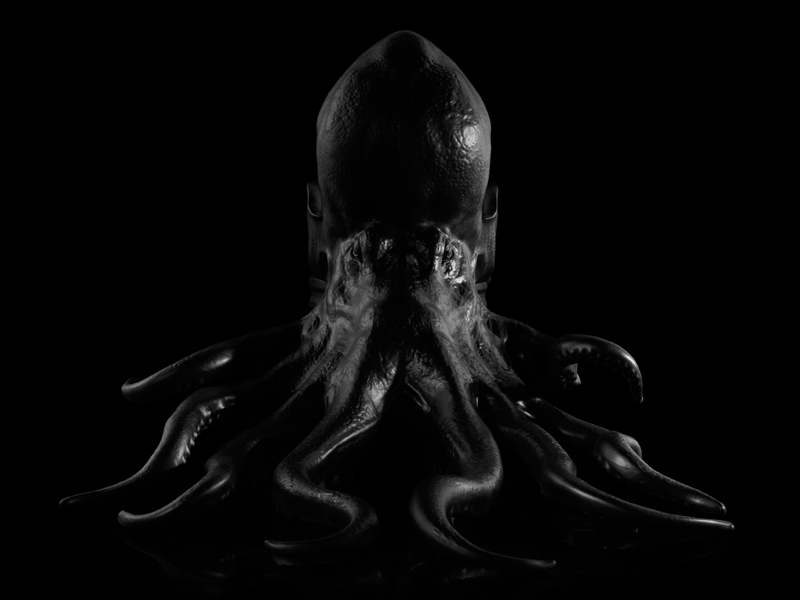 alonsovarela_octopushair_01.jpg