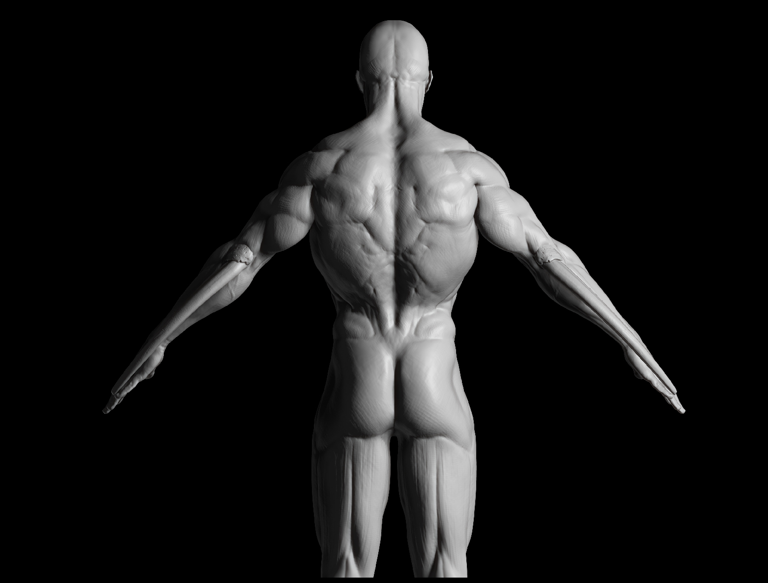 Ortho---Back.jpg