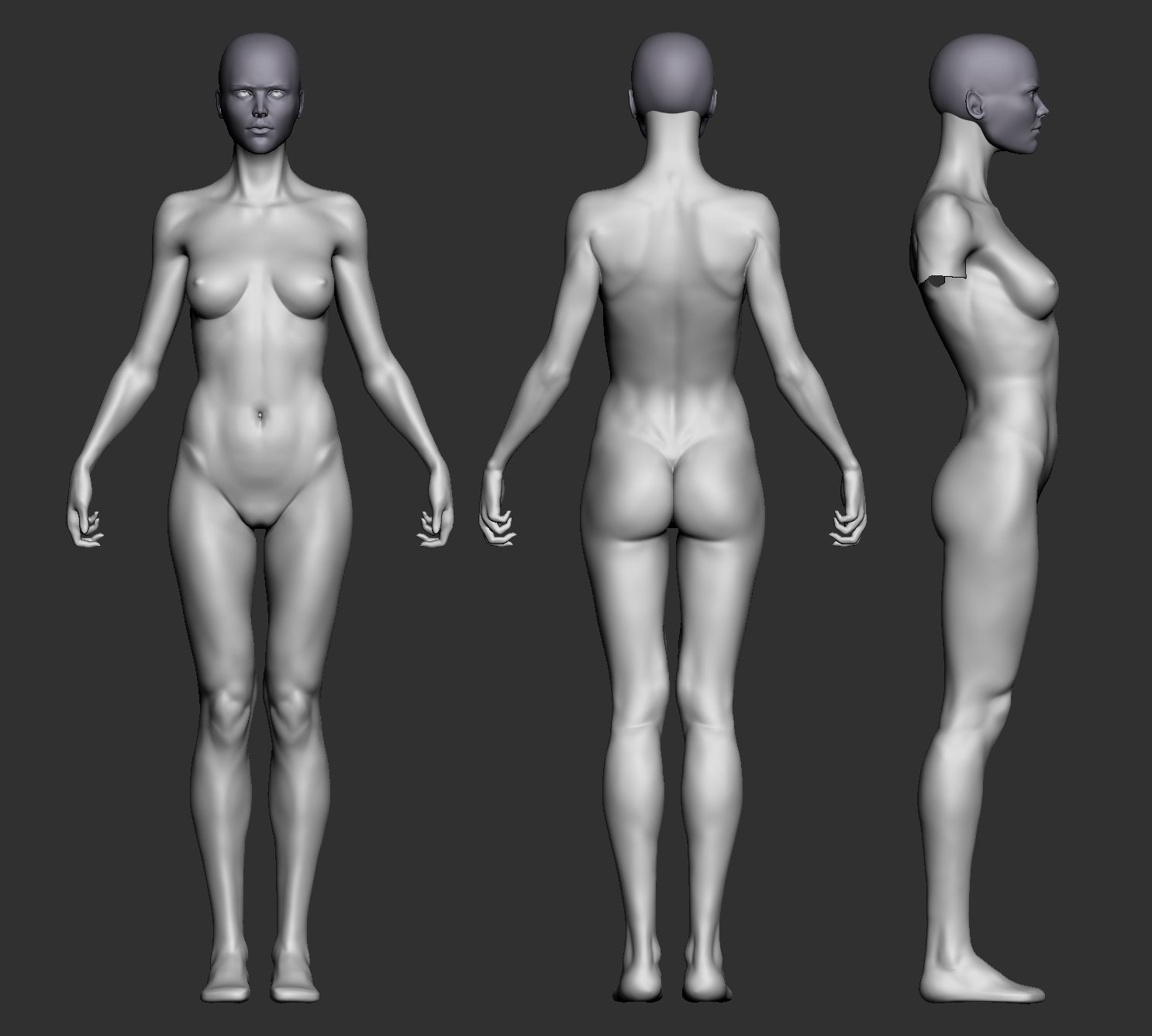 female_body_milestonesculpt.jpg