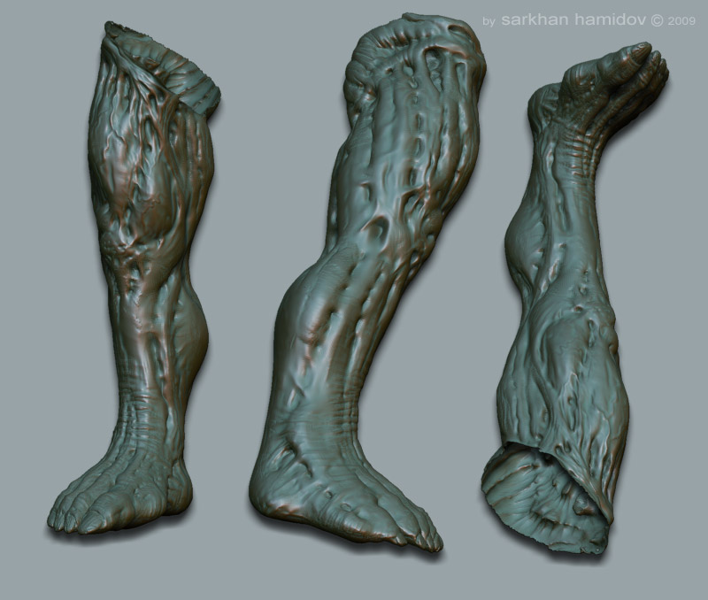 legs.jpg