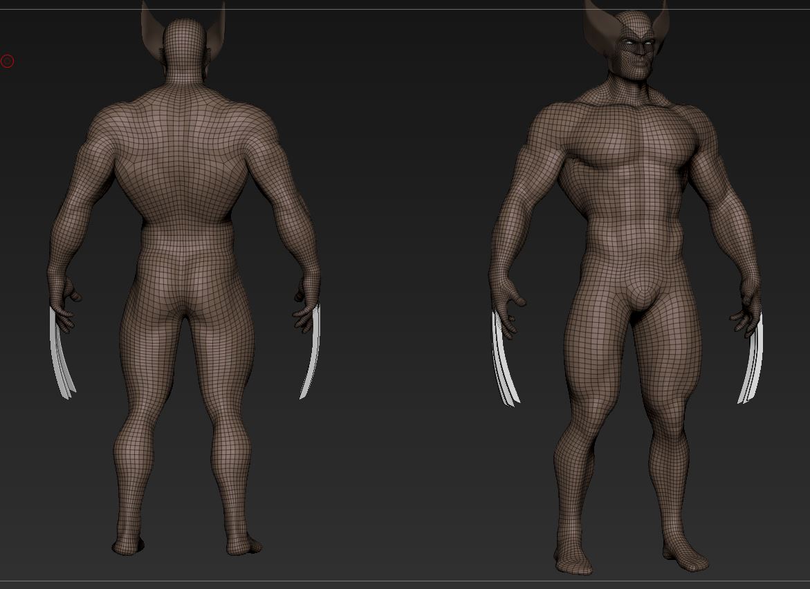 Wolverine04.JPG