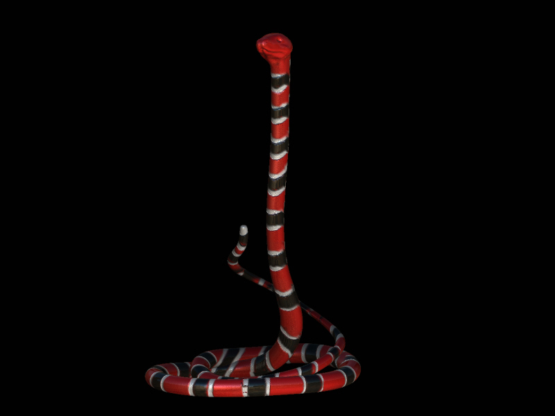 serpente02.jpg