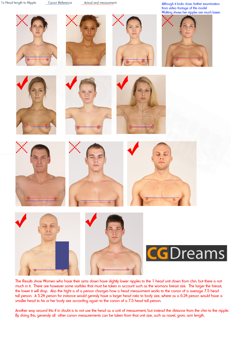 Nipple line 1 head length Male - FemaleZBC.jpg