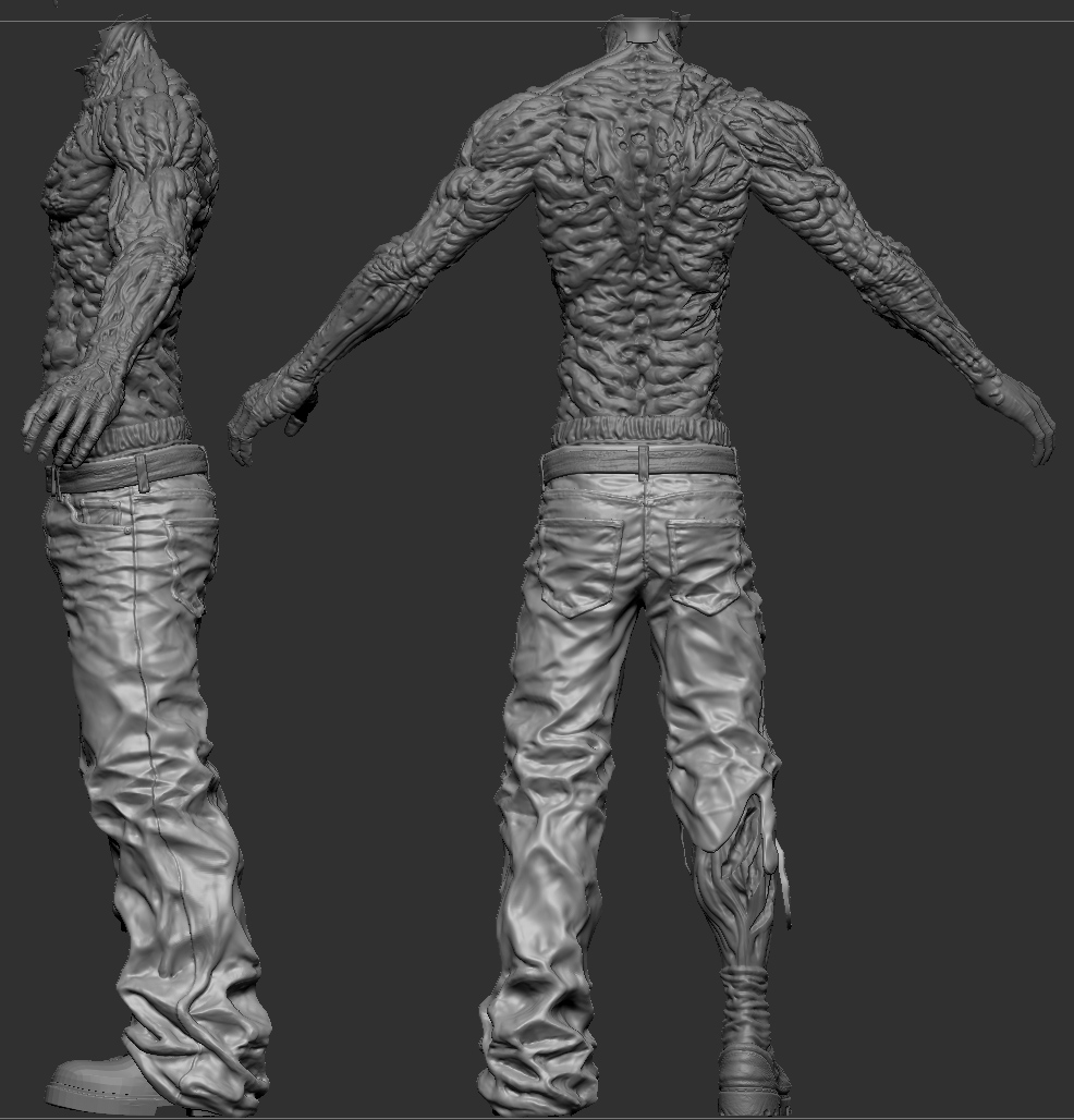 z_body_new2.jpg