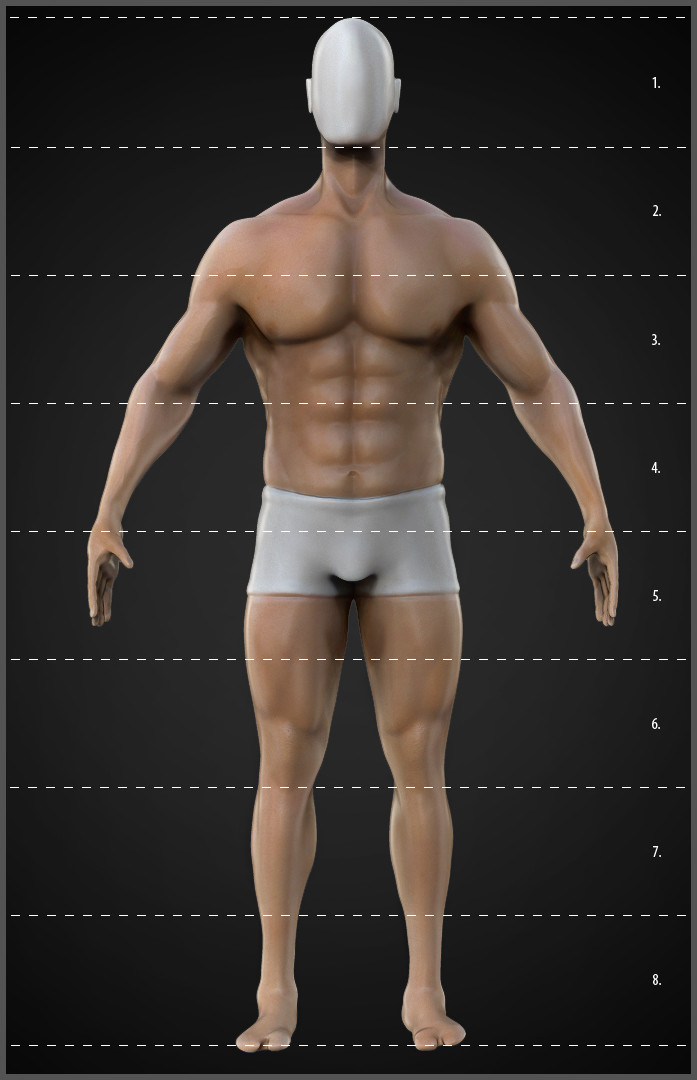 Muscular_Body (6).jpg