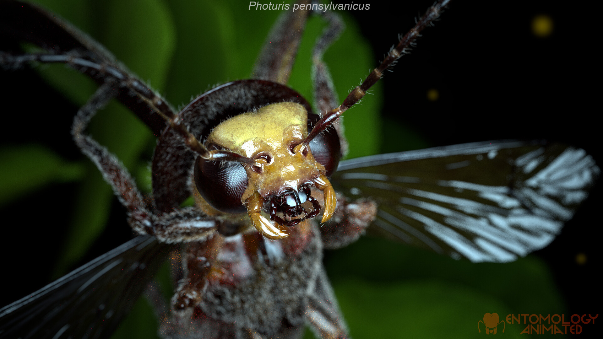 eric-keller-photuris-render07
