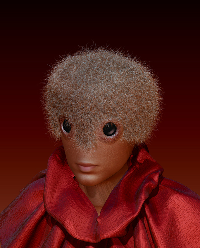 noip.jpg