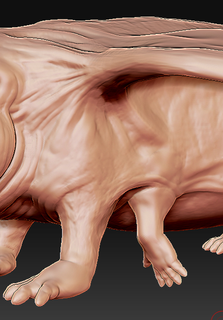SandPuppyProgress_18.jpg