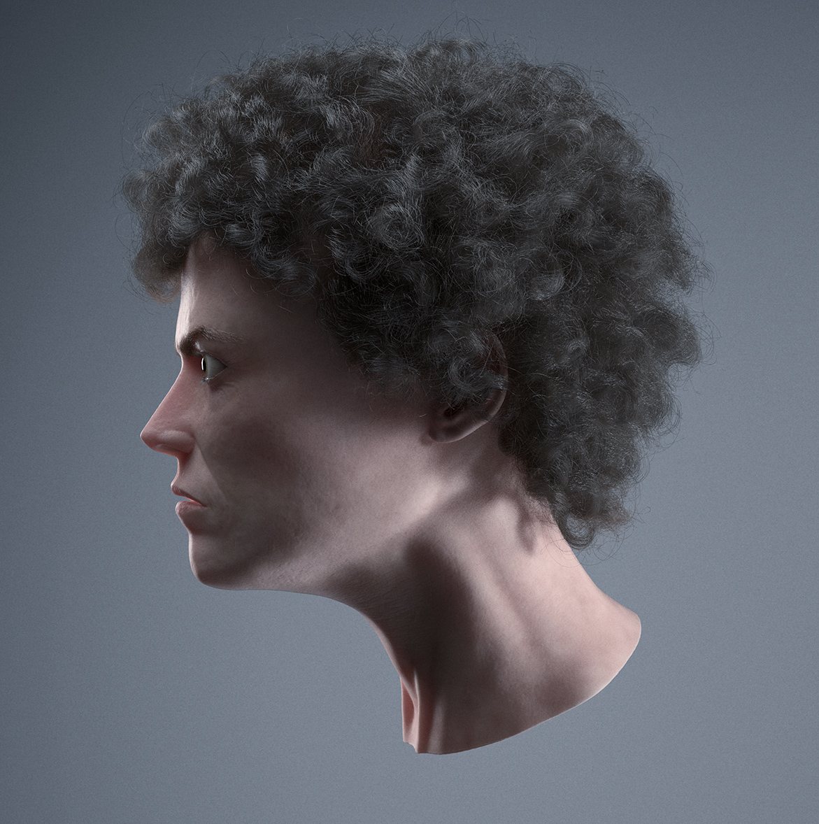 ripley_maya_rend_side_02.jpg