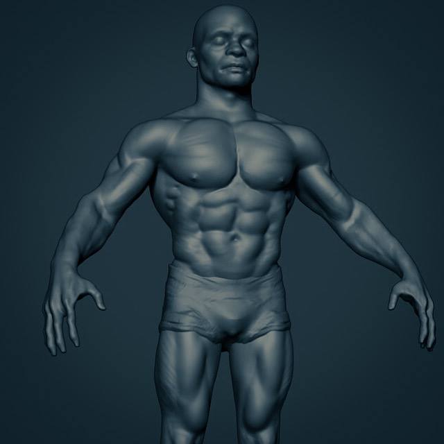 BP_anatomy.jpg