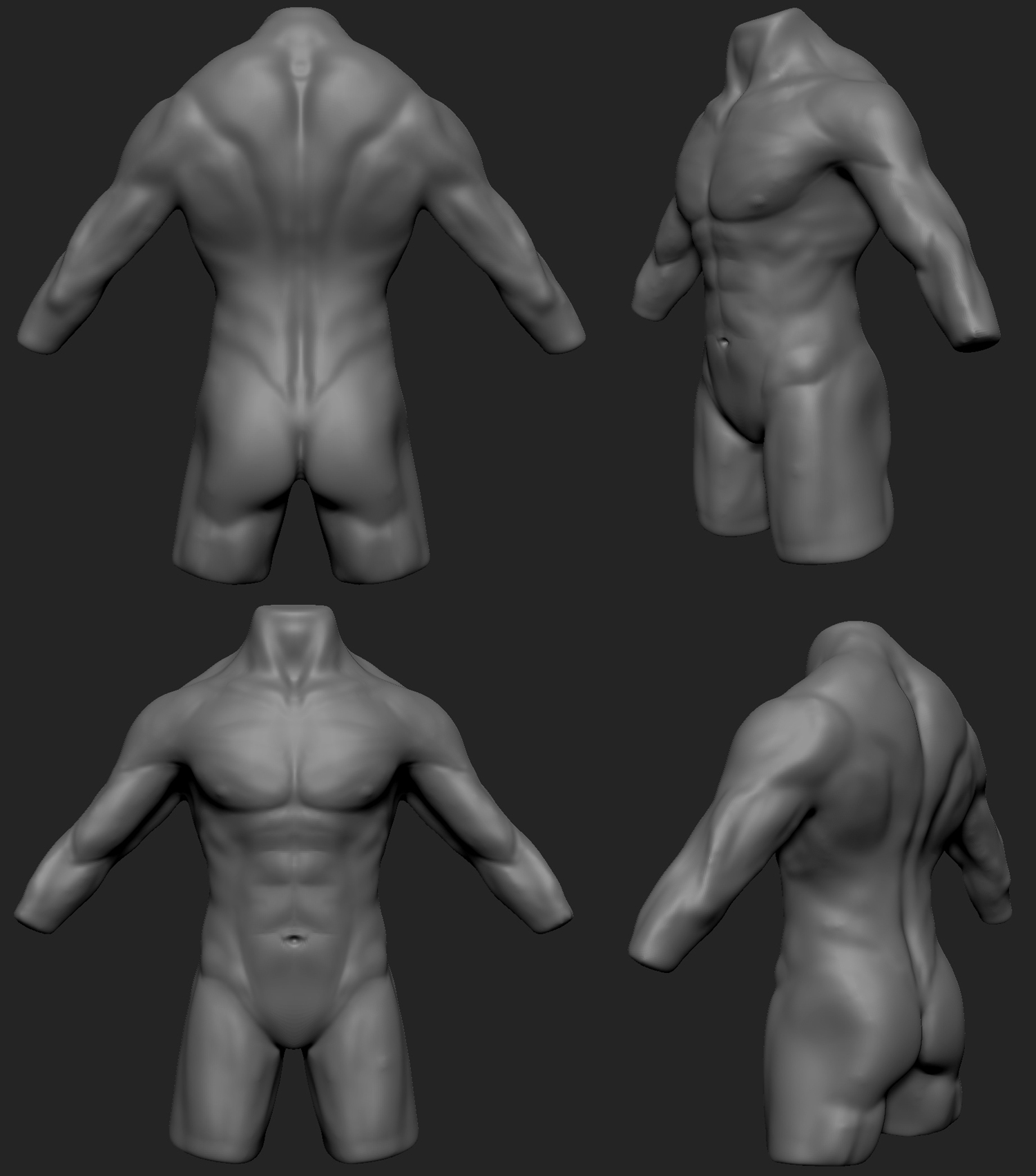 Anatomy2 3 hour.jpg
