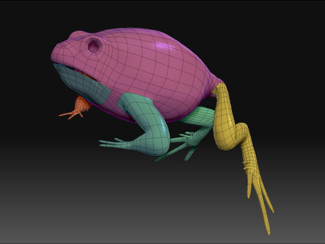 frog frame.jpg