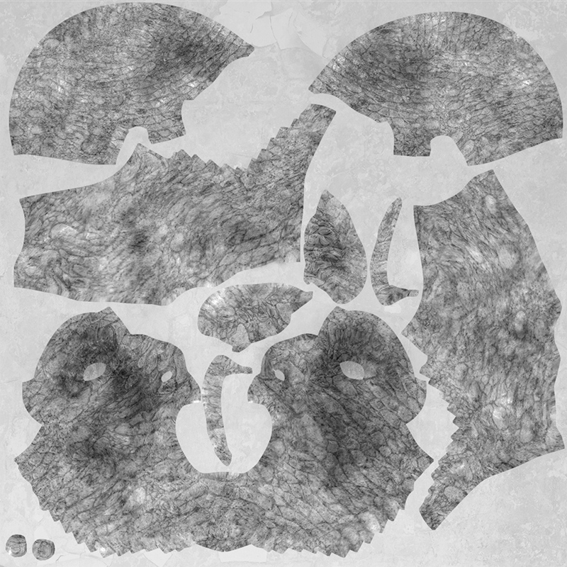 licetex3.jpg