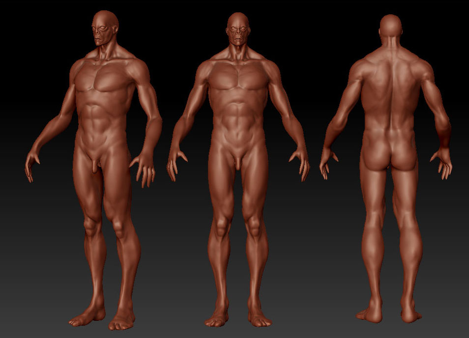 building_up_muscles_groups03.jpg