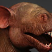 thumb.jpg