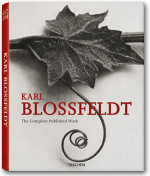 Karl Blossfeldt.jpg