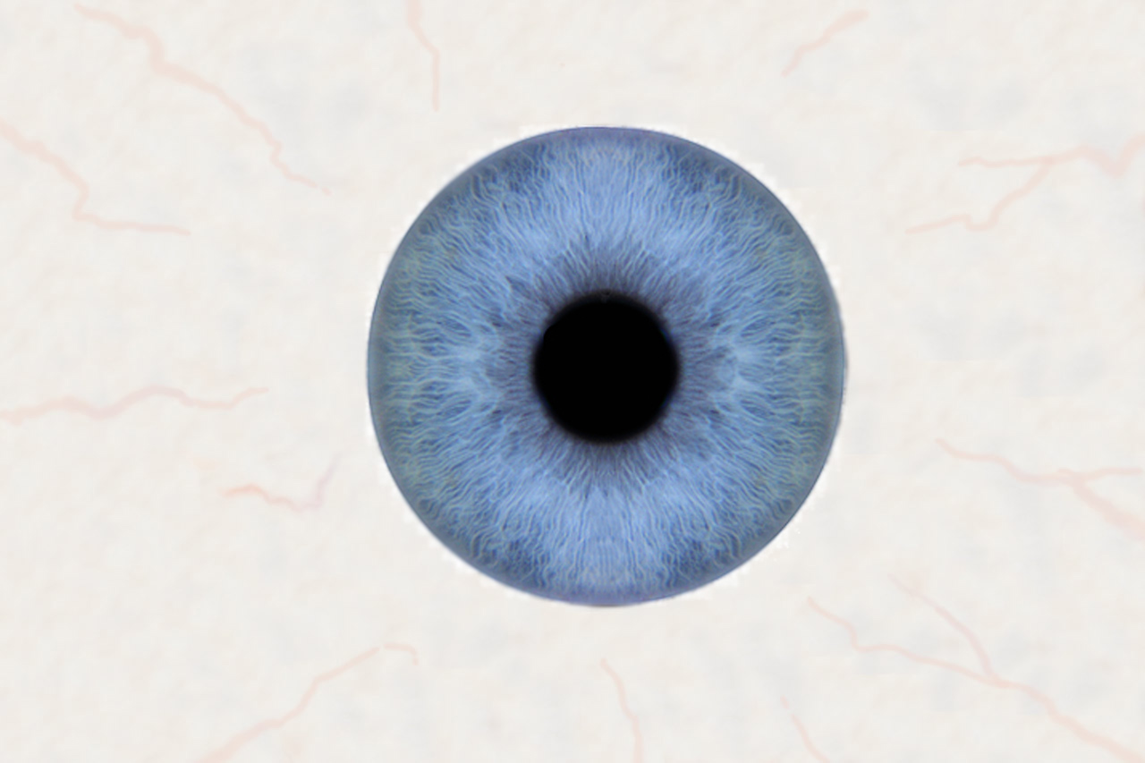 oog_blue.jpg