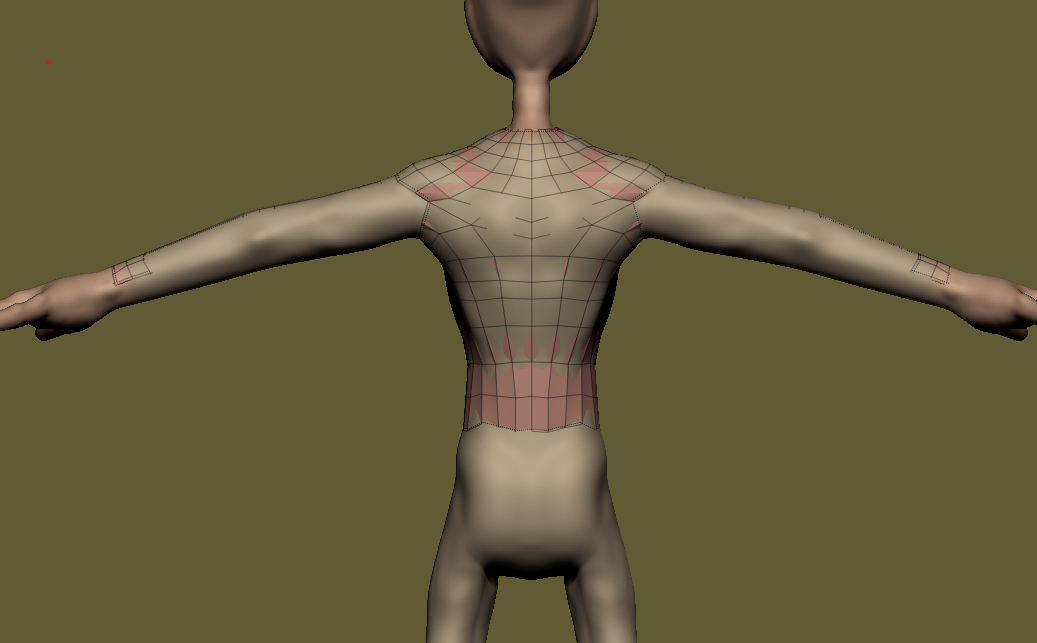 BenjaminBaseRetopo_BackTorso.jpg