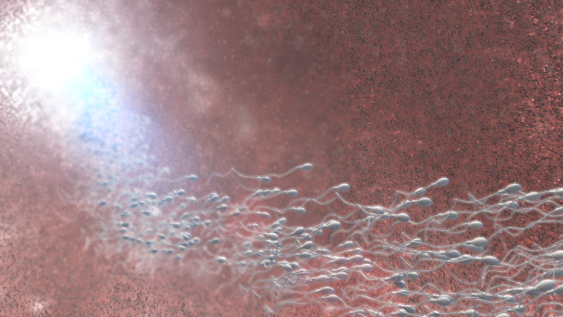 Entering womb.jpg