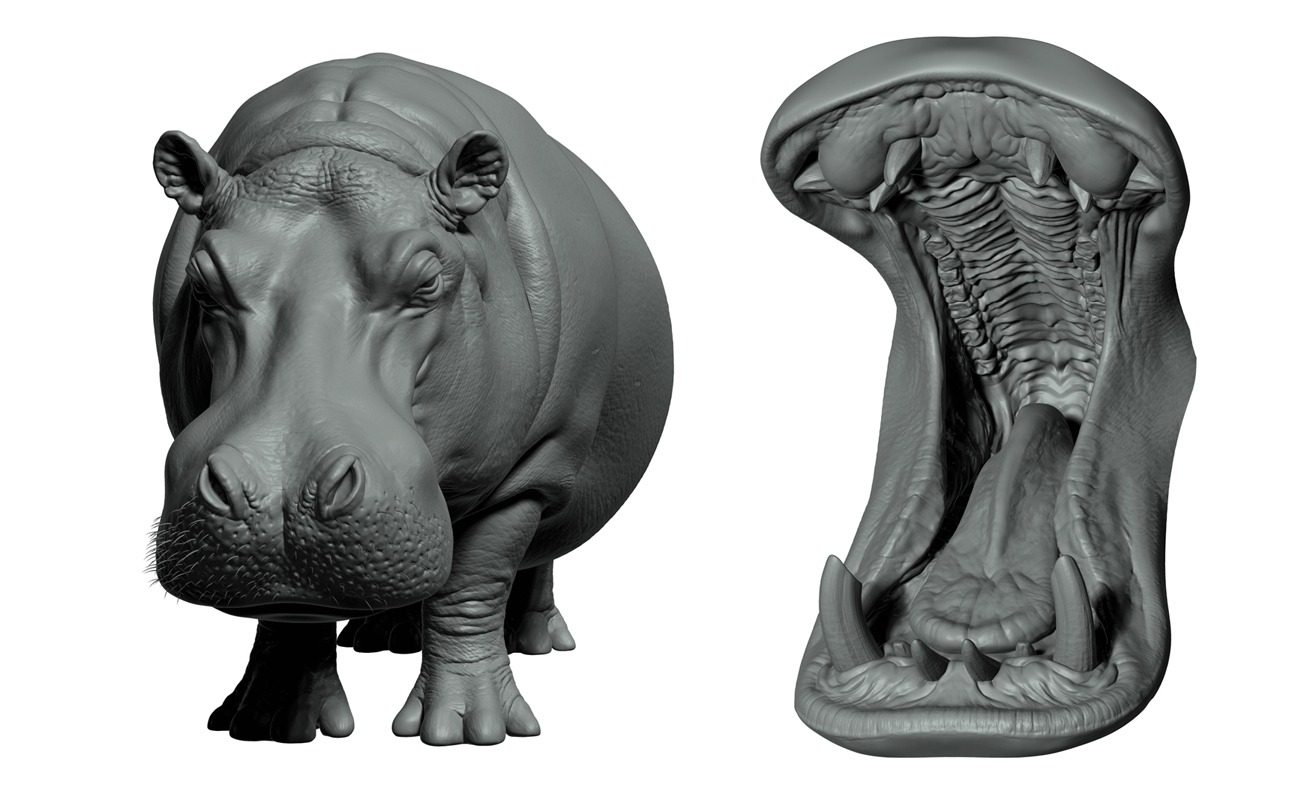 Hippo_Z_FINAL_02.jpg