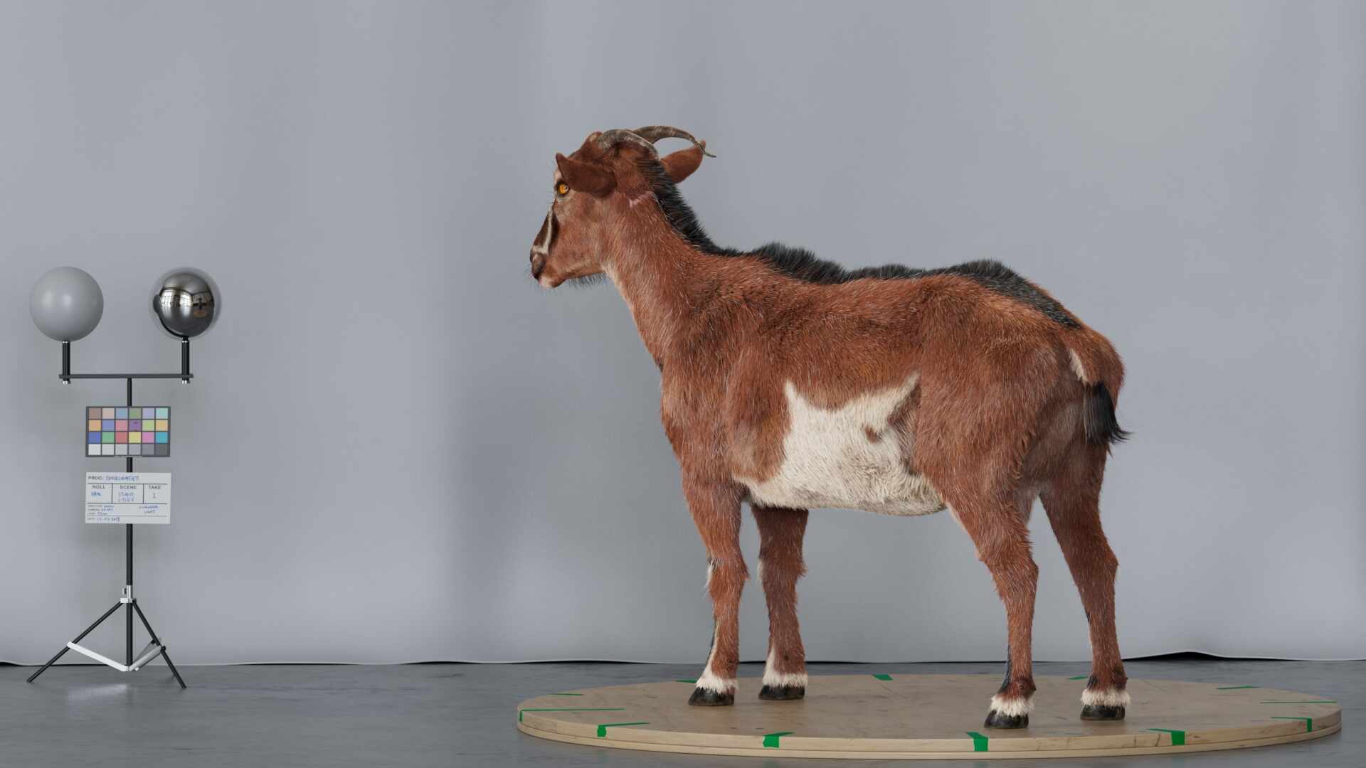 Goat - ZBrushCentral