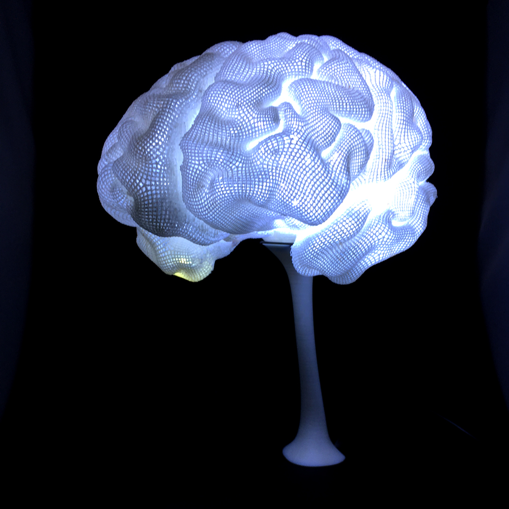 Brain02.jpg