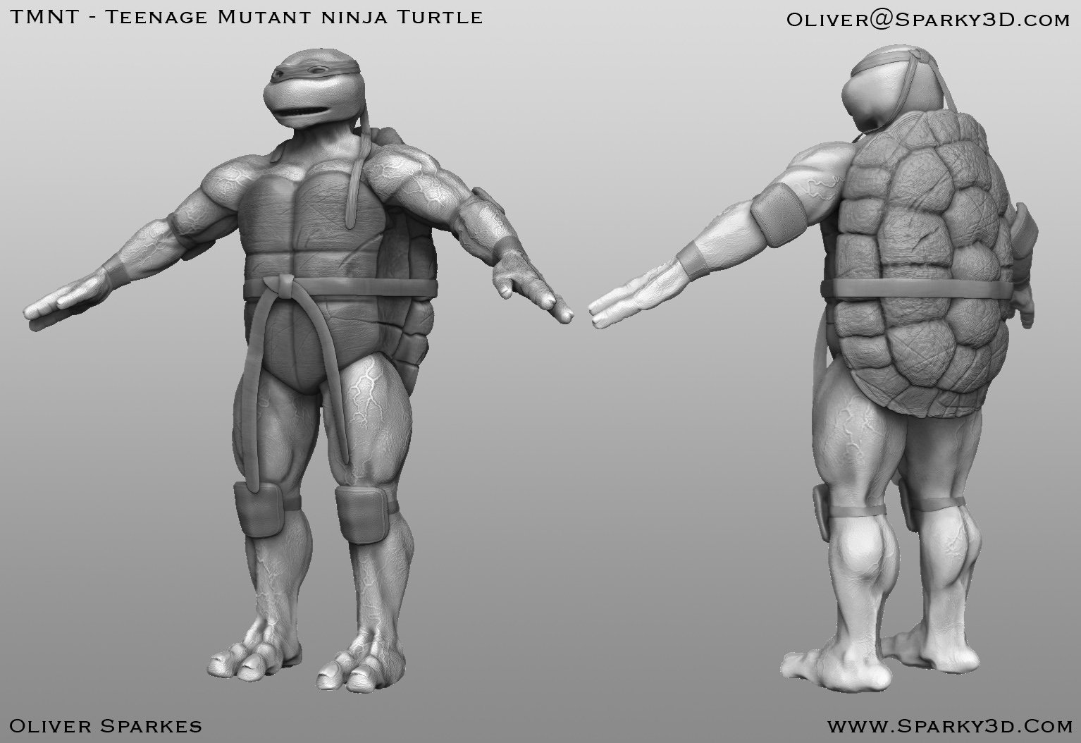 Turtle_composit_grey.jpg